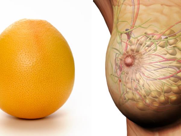 Ali podobnost res zdravi?